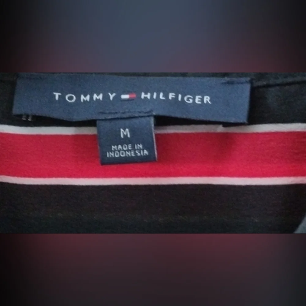 Tommy Hilfiger Cottagecore Navy and Red Striped Button Down Shirt Size M - Picture 4 of 4